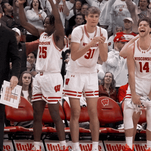 Happy Get Loud GIF by Wisconsin Badgers