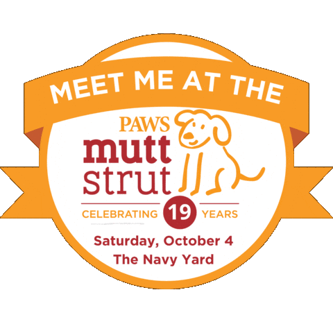 Dogs Walk Sticker by PhillyPAWS