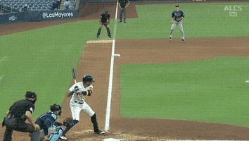 Tampa Bay Rays Baseball GIF by Jomboy Media
