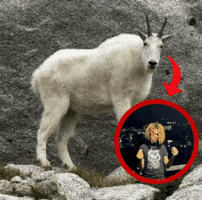 Playboi Carti Rap GIF