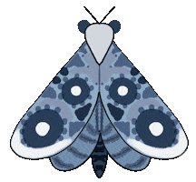 lifeonpaper butterfly moth blue butterfly lifeonpaper Sticker