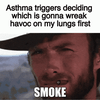 Asthma triggers deciding which is gonna wreak havoc on my lungs first motion meme