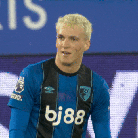 Confused Premier League GIF by AFC Bournemouth