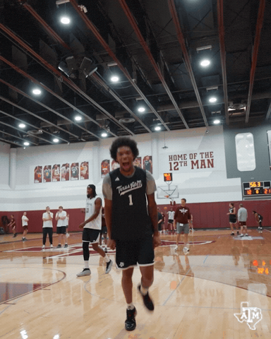 Texas Am Buckyball GIF by Texas A&M Athletics