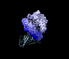Protein Rit GIF by Rochester Institute of Technology