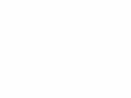 INEDIB GIF