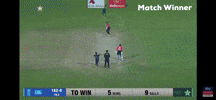 Cricket England GIF