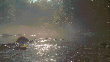 Bicicleta GIF