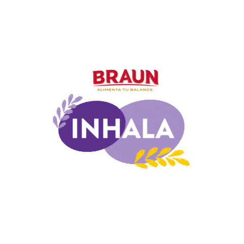 BraunEc Sticker