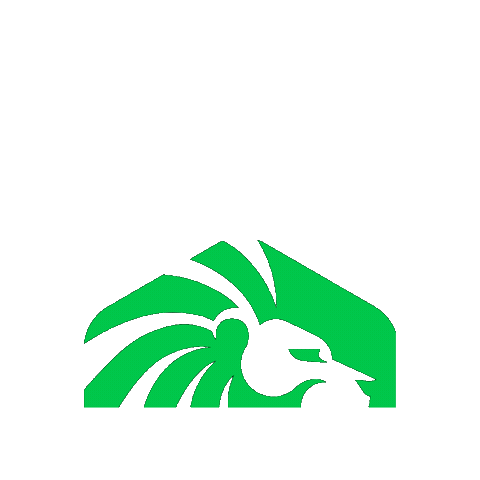 VIDUSA Sticker