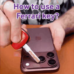 Ferrari GIF by MAGIC JOHN