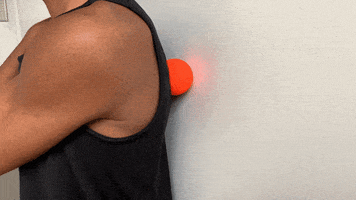 Exercices GIF
