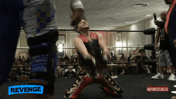 Revenge GIF