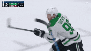 Dallas Stars GIF