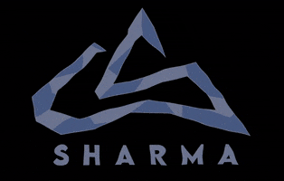 Logo Gym GIF by Sharma Climbing