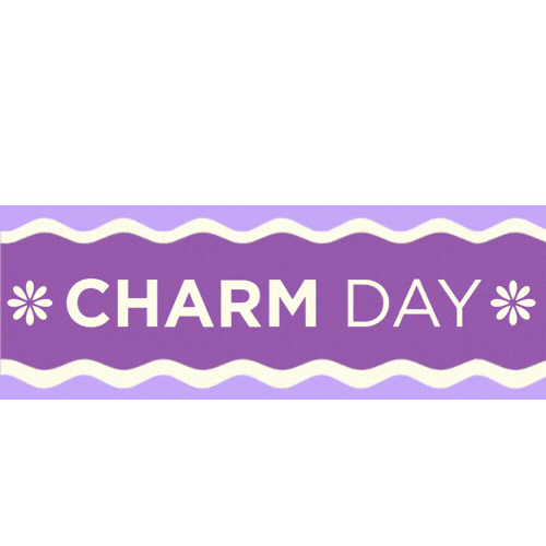 La Union Charmer Sticker by CHARM Medical Skin and Body Clinic
