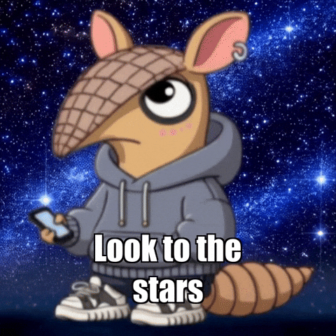 Stars Night GIF by Chillo Dillo