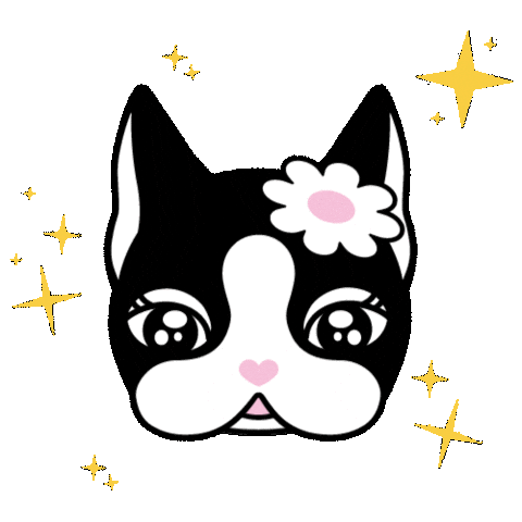 Star Eu Quero Sticker