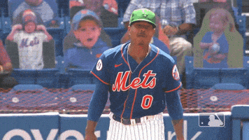Happy Ny Mets GIF by New York Mets