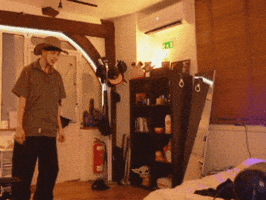 Twitch GIF