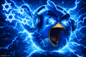 Angry Bird Israel GIF