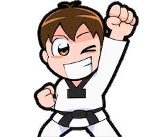 Taekwondo 태권도 Sticker