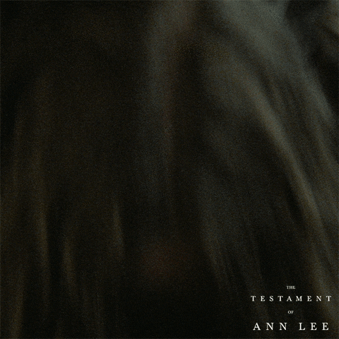 Amanda Seyfried Breath GIF by Searchlight Pictures
