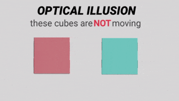 Optical Illusion GIF