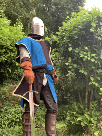 Knight GIF