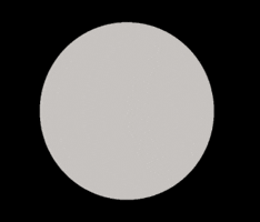 New Arrival Bridal Shop GIF by Magnolia Bridal