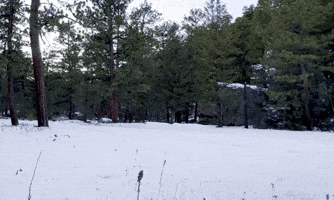Snow Drifting GIF