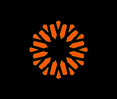 Jamiitown GIF