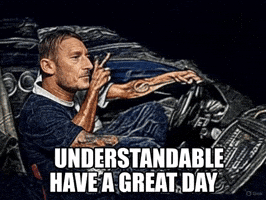 Francesco Totti Have A Great Day GIF