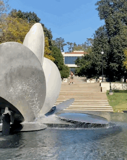 Oxy College GIF by Occidental College