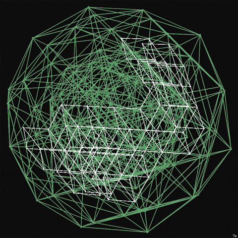 Bunny Rabbit GIF by Trevor Anderson