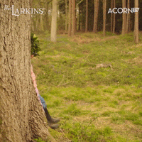 Twins Thumbs Up GIF by Acorn TV
