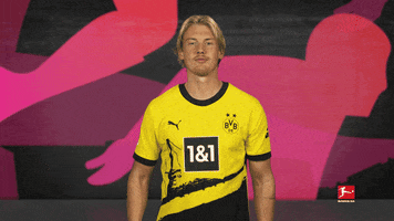 Borussia Dortmund Arms GIF by Bundesliga