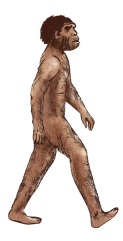 Sangiran Sticker