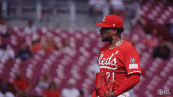 Baseball Mlb GIF by Cincinnati Reds