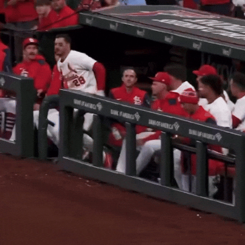 Curtain Call Cardinals GIF