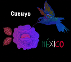 Cucuyo GIF