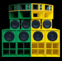 Dub Soundsystem GIF by Jeugdhuis de Vonk
