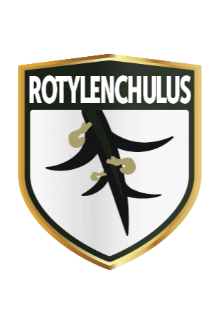 Roty Sticker by FT SEMENTES