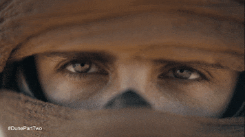 Movie gif. Closeup of Timothee Chalamet as Paul Atreides in Dune peering through a scarf and narrowing his eyes. 