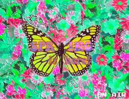 Blossoming Pop Art GIF by Xinanimodelacra