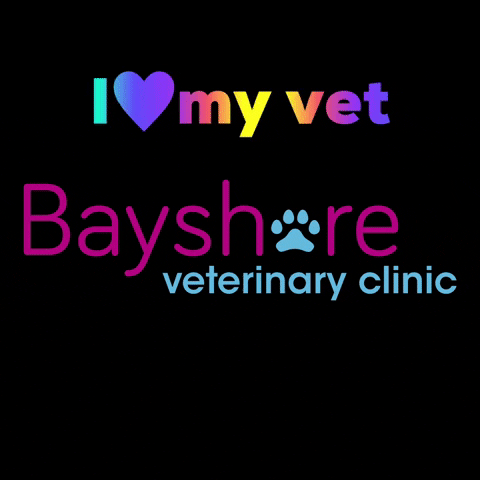 Bayshore Veterinary Clinic GIF