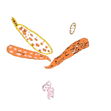 ciernalabut Sticker