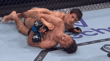 Sport Trying GIF by UFC
