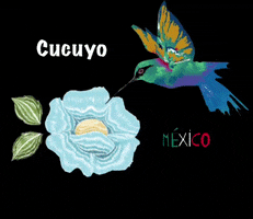 GIF by Cucuyo