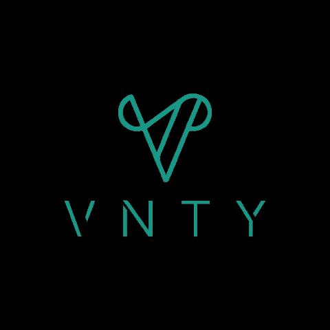 vnty GIF